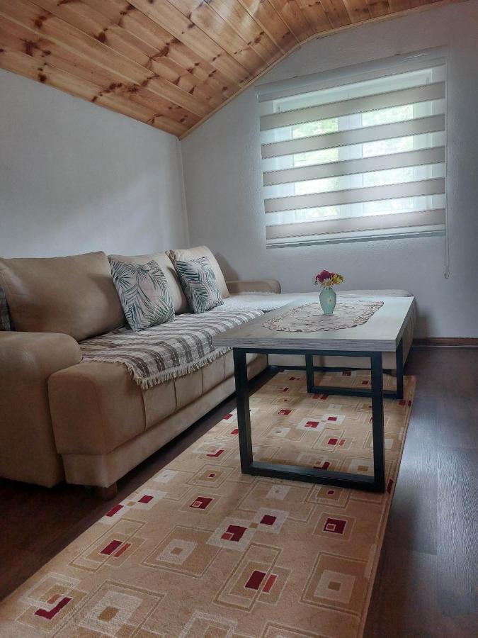 Apartman Branko Kolašin Kültér fotó